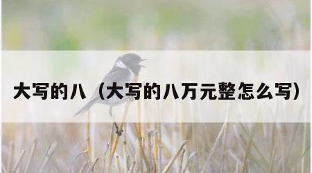 大写的八（大写的八万元整怎么写）