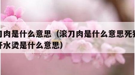 滚刀肉是什么意思（滚刀肉是什么意思死猪不怕开水烫是什么意思）
