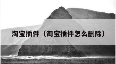 淘宝插件（淘宝插件怎么删除）