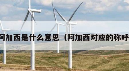 阿加西是什么意思（阿加西对应的称呼）