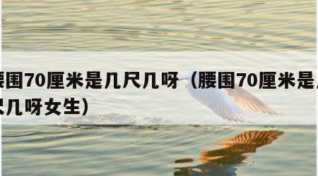 腰围70厘米是几尺几呀（腰围70厘米是几尺几呀女生）