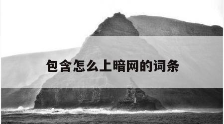 包含怎么上暗网的词条