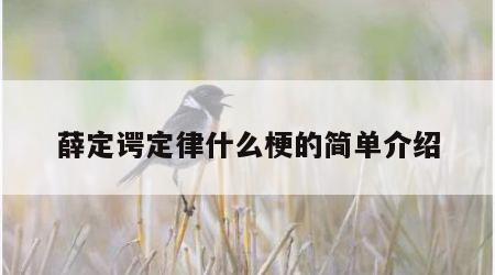 薛定谔定律什么梗的简单介绍