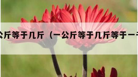 一公斤等于几斤（一公斤等于几斤等于一千克）