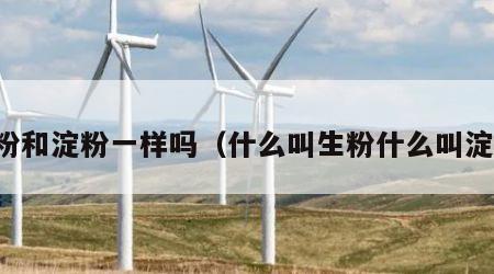 生粉和淀粉一样吗（什么叫生粉什么叫淀粉）