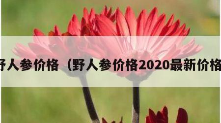 野人参价格（野人参价格2020最新价格）