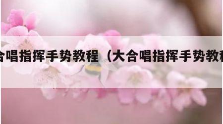 大合唱指挥手势教程（大合唱指挥手势教程图解）
