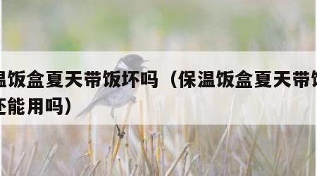 保温饭盒夏天带饭坏吗（保温饭盒夏天带饭坏吗还能用吗）