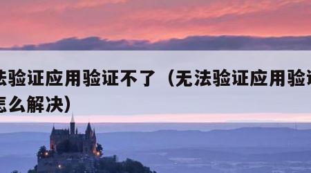 无法验证应用验证不了（无法验证应用验证不了怎么解决）