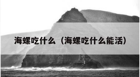 海螺吃什么（海螺吃什么能活）