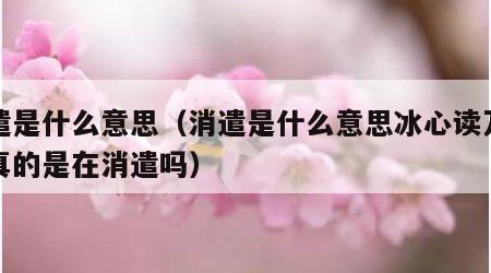 消遣是什么意思（消遣是什么意思冰心读万卷书真的是在消遣吗）