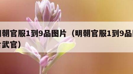 明朝官服1到9品图片（明朝官服1到9品图片武官）