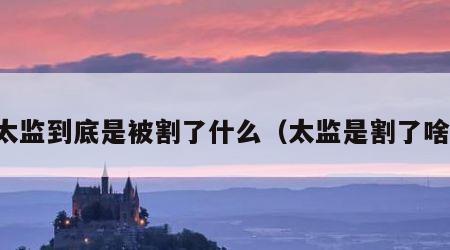 太监到底是被割了什么（太监是割了啥）