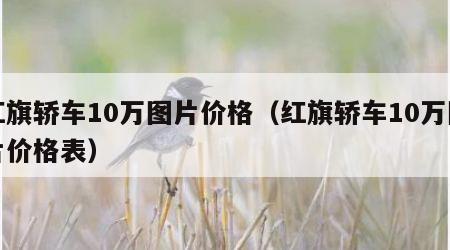 红旗轿车10万图片价格（红旗轿车10万图片价格表）
