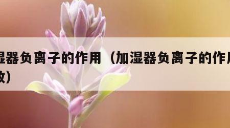 加湿器负离子的作用（加湿器负离子的作用与功效）