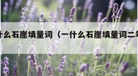 一什么石崖填量词（一什么石崖填量词二年级）