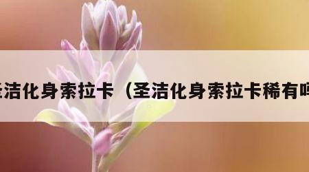 圣洁化身索拉卡（圣洁化身索拉卡稀有吗）