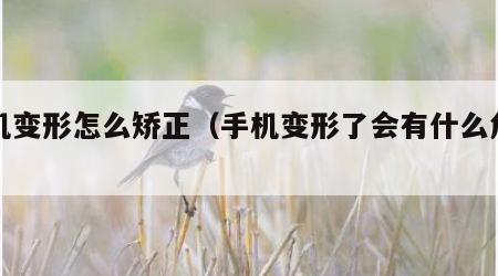 手机变形怎么矫正（手机变形了会有什么危害）