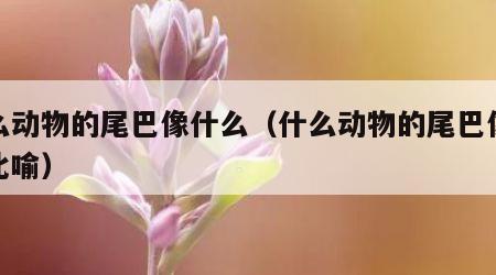 什么动物的尾巴像什么（什么动物的尾巴像什么比喻）