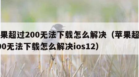 苹果超过200无法下载怎么解决（苹果超过200无法下载怎么解决ios12）