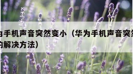 华为手机声音突然变小（华为手机声音突然变小的解决方法）