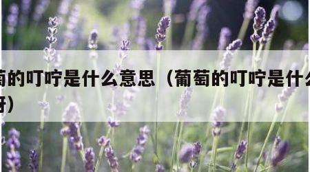 葡萄的叮咛是什么意思（葡萄的叮咛是什么意思呀）