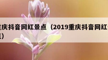 重庆抖音网红景点（2019重庆抖音网红景点）
