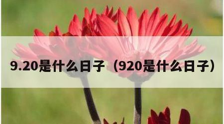 9.20是什么日子（920是什么日子）