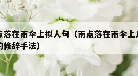 雨点落在雨伞上拟人句（雨点落在雨伞上用拟人的修辞手法）
