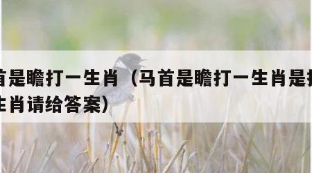 马首是瞻打一生肖（马首是瞻打一生肖是指什么生肖请给答案）
