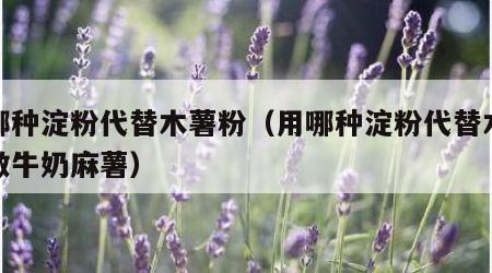 用哪种淀粉代替木薯粉（用哪种淀粉代替木薯粉做牛奶麻薯）