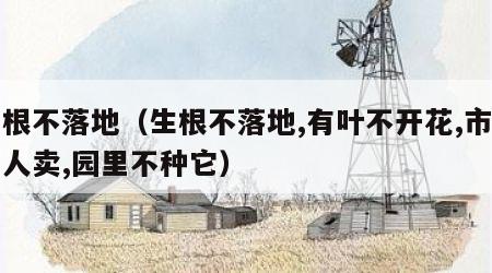 生根不落地（生根不落地,有叶不开花,市场有人卖,园里不种它）