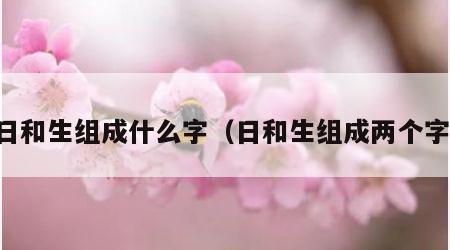 日和生组成什么字（日和生组成两个字）