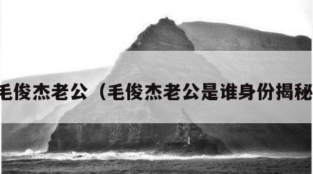 毛俊杰老公（毛俊杰老公是谁身份揭秘）