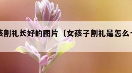 女孩割礼长好的图片（女孩子割礼是怎么一回事）