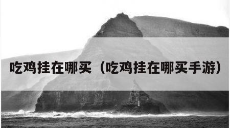 吃鸡挂在哪买（吃鸡挂在哪买手游）