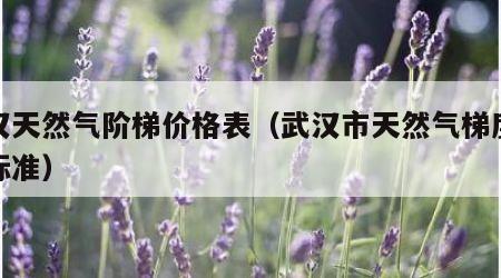 武汉天然气阶梯价格表（武汉市天然气梯度收费标准）