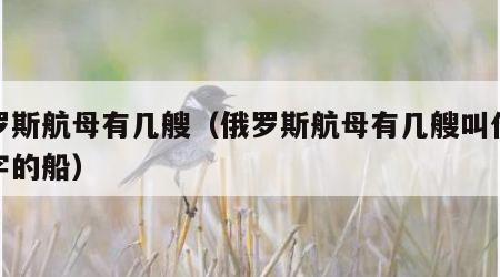 俄罗斯航母有几艘（俄罗斯航母有几艘叫什么名字的船）