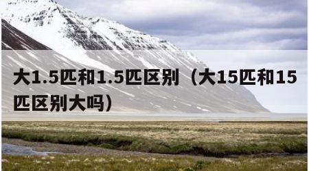 大1.5匹和1.5匹区别（大15匹和15匹区别大吗）