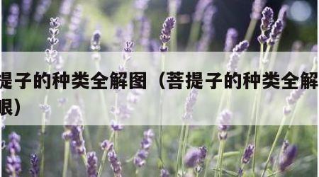 菩提子的种类全解图（菩提子的种类全解图 千眼）