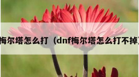 梅尔塔怎么打（dnf梅尔塔怎么打不掉）