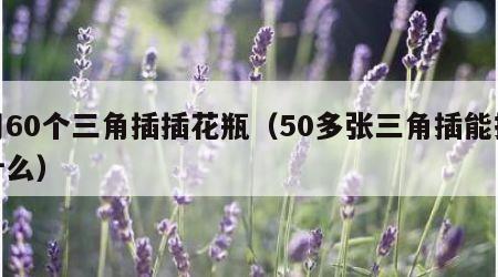 用60个三角插插花瓶（50多张三角插能拼什么）