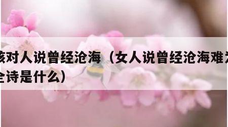 女孩对人说曾经沧海（女人说曾经沧海难为水的全诗是什么）