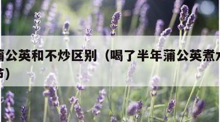 炒蒲公英和不炒区别（喝了半年蒲公英煮水肺结节）