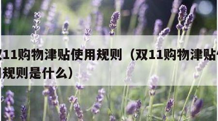 双11购物津贴使用规则（双11购物津贴使用规则是什么）