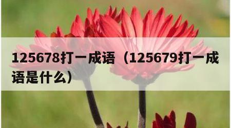125678打一成语（125679打一成语是什么）