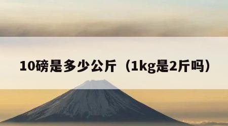 10磅是多少公斤（1kg是2斤吗）