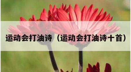 运动会打油诗（运动会打油诗十首）