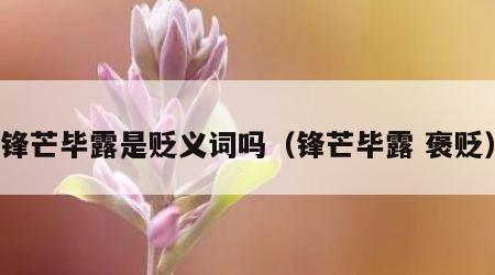 锋芒毕露是贬义词吗（锋芒毕露 褒贬）