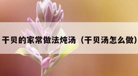 干贝的家常做法炖汤（干贝汤怎么做）